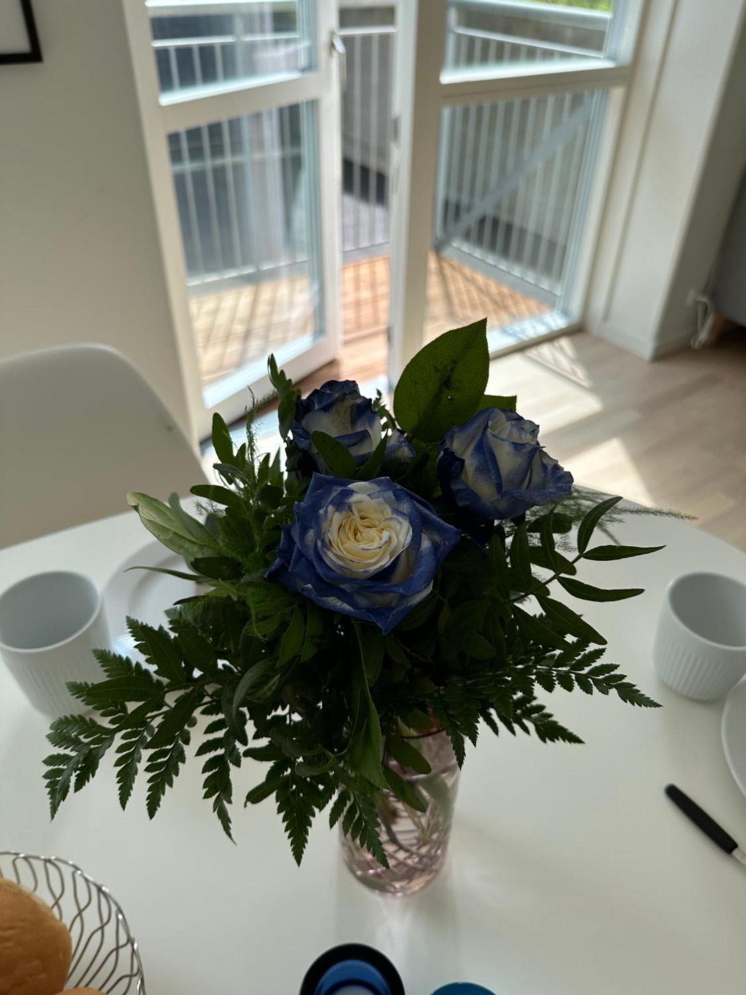 Luxury New Cozy And Quietly 95M2 Appartement Tórshavn Buitenkant foto